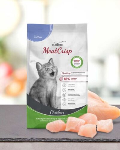 Platinum Cat Kitten 1,5KG
