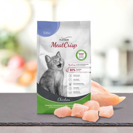 Platinum Cat Kitten 1,5KG