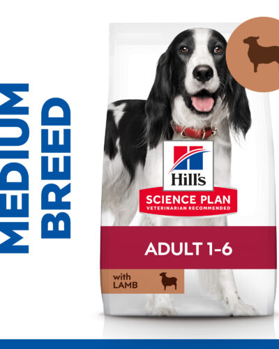 Hills Adult Medium 14KG
