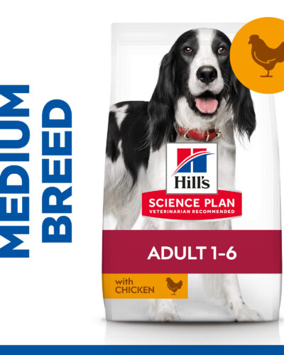 Hills Adult Medium 14KG
