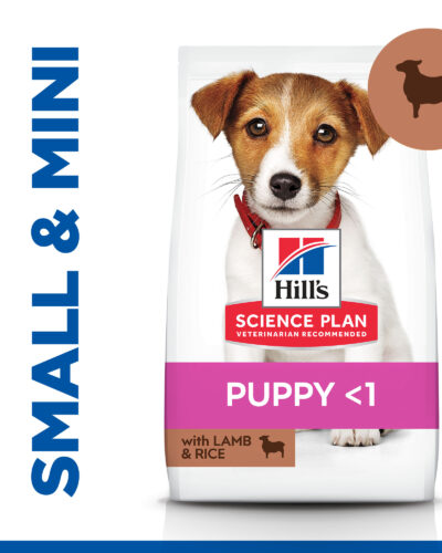 Hills Puppy 6KG